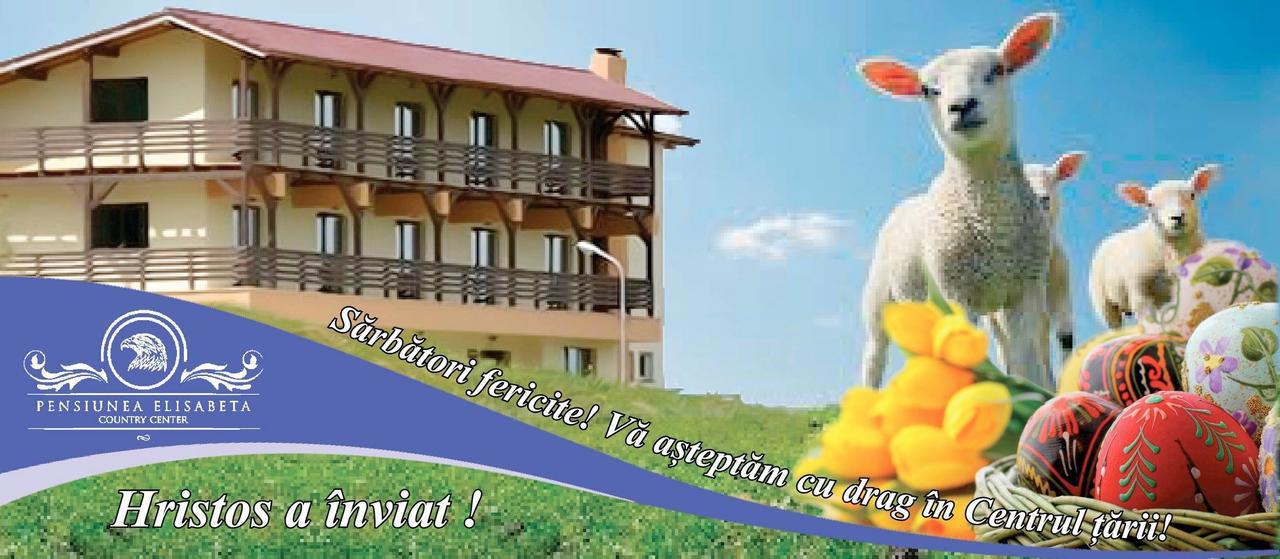 Pensiunea Elisabeta Merghindeal Ngoại thất bức ảnh